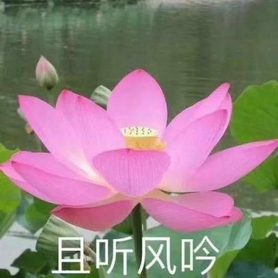 蜀将战记bt版下载